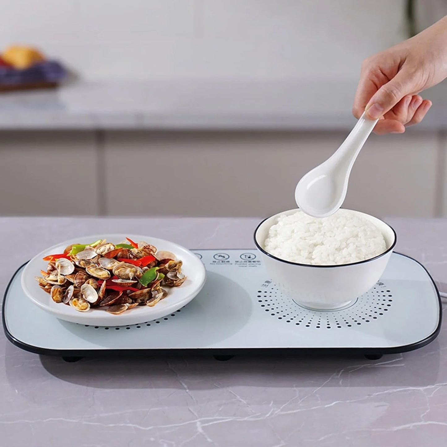 Electric Food Warming Tray